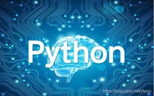 為什么Python被譽為人工智能應用軟件開發的最佳語言